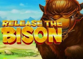 Release the Bison — Pragmatic